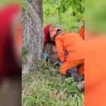 Mulher fica 3 dias desaparecida em área de mata após sair para atender ligação em Alto Paraíso