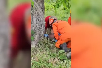Mulher fica 3 dias desaparecida em área de mata após sair para atender ligação em Alto Paraíso
