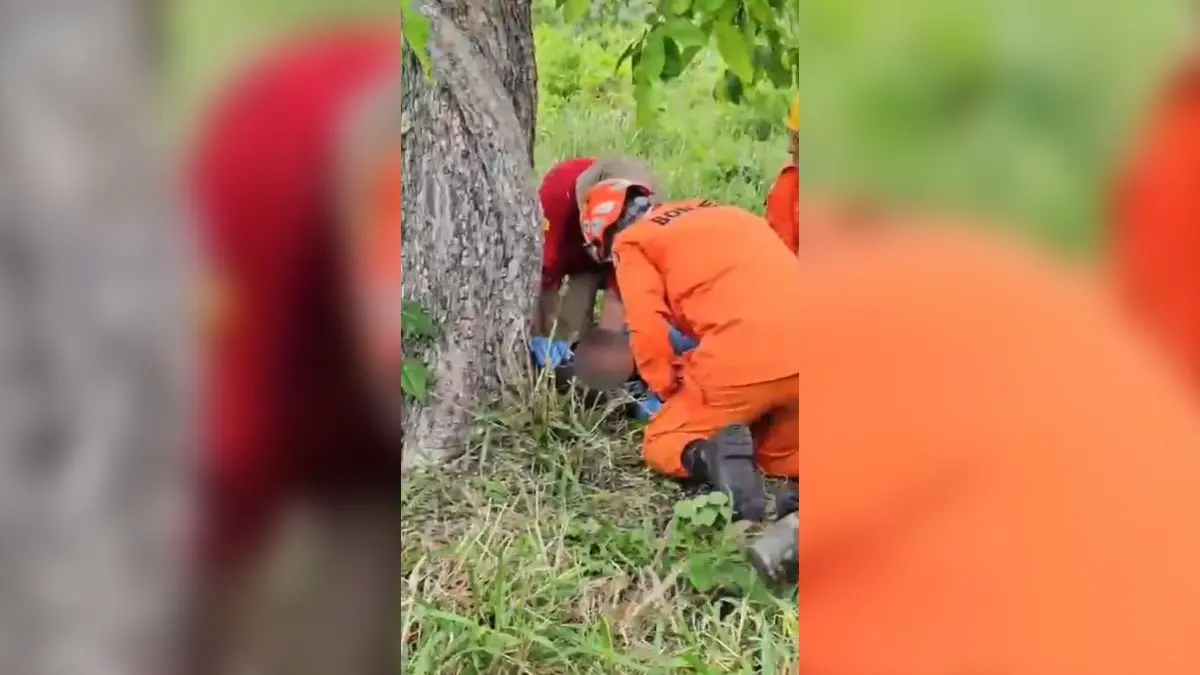 Mulher fica 3 dias desaparecida em área de mata após sair para atender ligação em Alto Paraíso