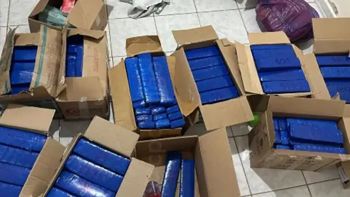 Polícia encontra 300 kg de maconha em quarto de bebê de 1 ano e meio em Goiânia