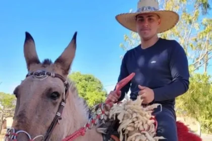 Motociclista morre após bater em carreta parada na GO-402, em Cumari Carreta estava parada na rodovia devido a uma pane mecânica