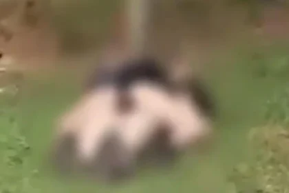 Mulher estava deitada sobre o homem - (Foto: reprodução)