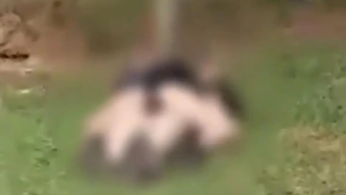 Mulher estava deitada sobre o homem - (Foto: reprodução)