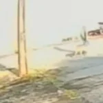 Tutor do pitbull conseguiu conter o animal - (Foto: reprodução)