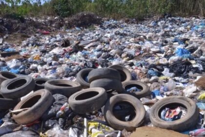 Ossada humana é encontrada próximo ao lixão de Goiatuba O achado ocorreu quando trabalhadores rurais realizavam atividades na região