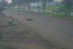 Entregador por aplicativo é arremessado após ser atingido por carro no Parque das Flores, em Goiânia