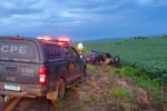 Carro utilizado pela dupla foi parar no meio do pasto - (Foto: divulgação/PM)