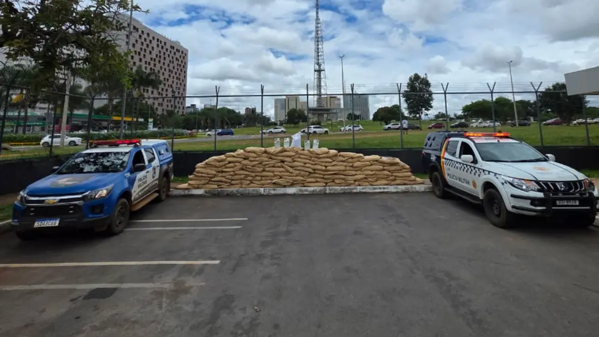 Agrotóxicos apreendidos foram encaminhados à Polícia Civil - (Foto: reprodução/PM)