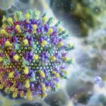 Ministério da Saúde diz que vírus Nipah não ameaça o Brasil