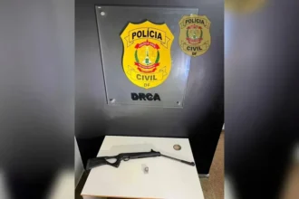 Homem é preso após matar cachorro com disparo de arma de pressão no DF sexto caso de maus tratos a animais desde a morte do cão Orelha